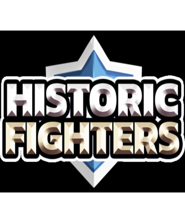 Historic Fighters Steam Key GLOBAL